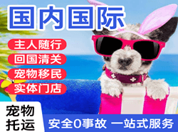 长乐机场货运国际宠物托运 【国